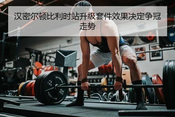 han-mi-er-dun-bi-li-shi-zhan-sheng-ji-tao-jian-xiao-guo-jue-ding-zheng-guan-zou-shi-2-527.jpg